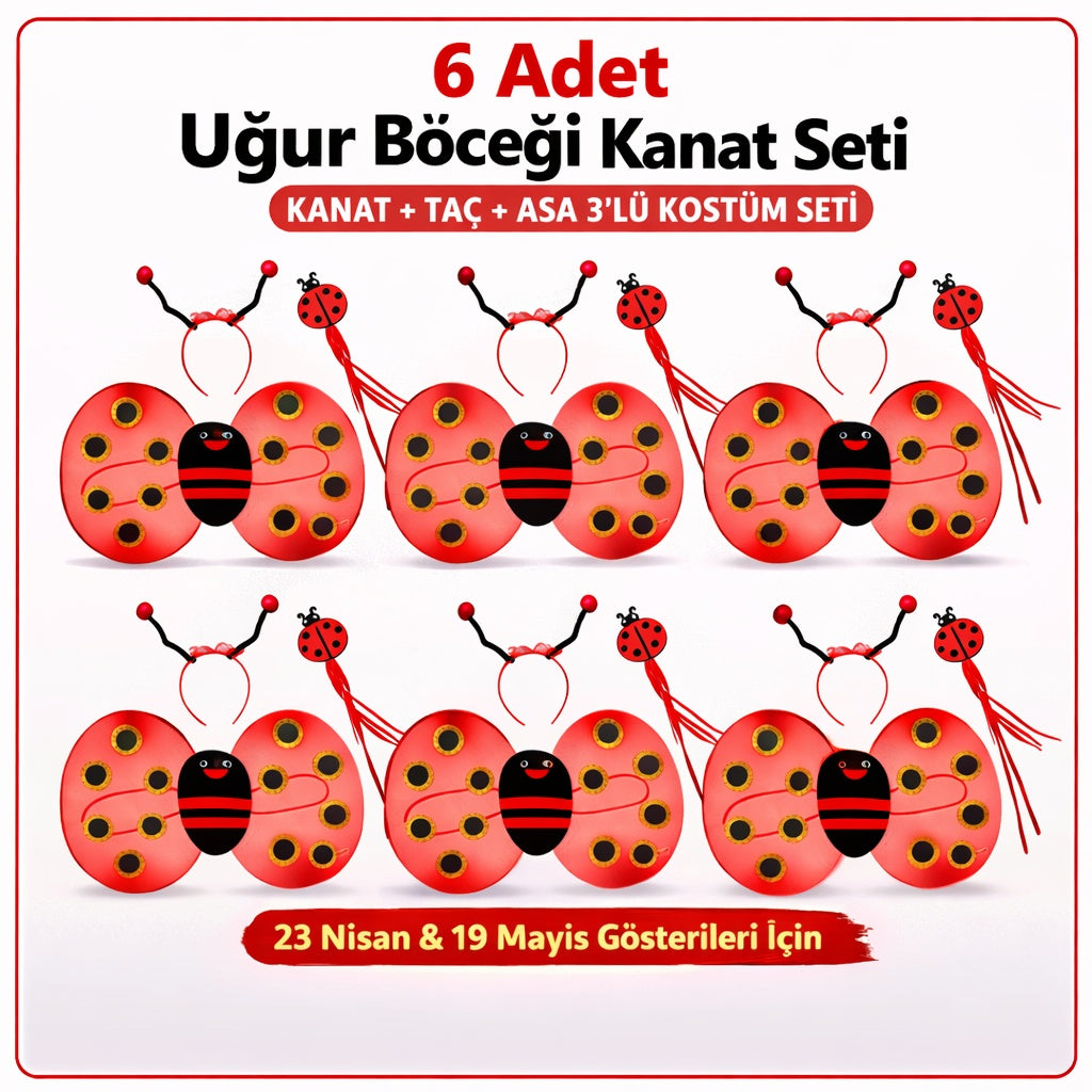 6'lı Uğur Böceği Ateş Böceği Kostüm Seti – Kanat Taç Asa (5643)