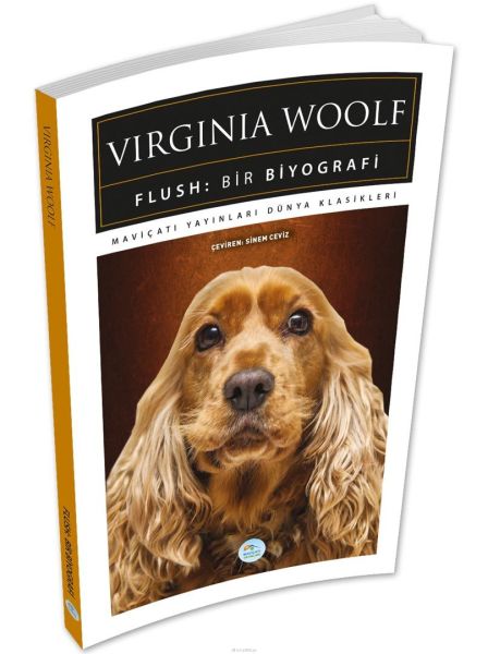 Flush Bir Biyografi