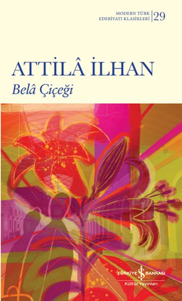 Bela Çiçeği