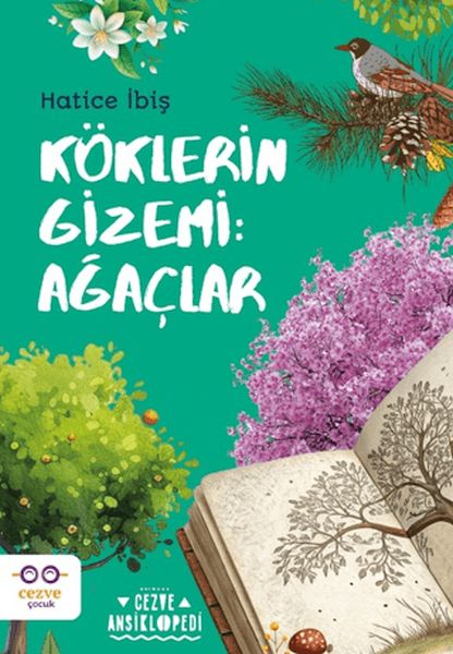 Köklerin Gizemi Ağaçlar