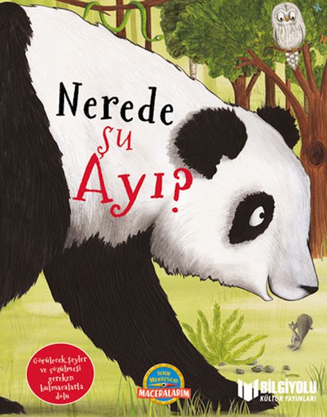 Nerede Şu Ayı? (Ciltli)