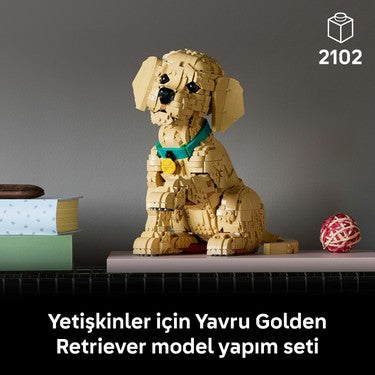 Yavru Golden Retriever Temalı Koleksiyonluk Yapım Seti