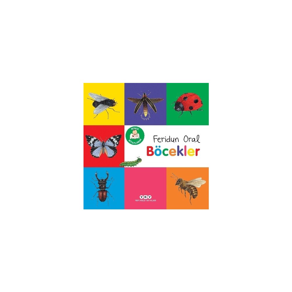 Böcekler Hakkında Eğlenceli Bilgi Kitabı Küçükler için