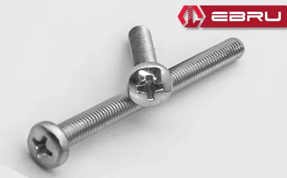 Ebru Yuvarlak Yıldız Başlı Ysb Civata M5x100 - 10 Adet