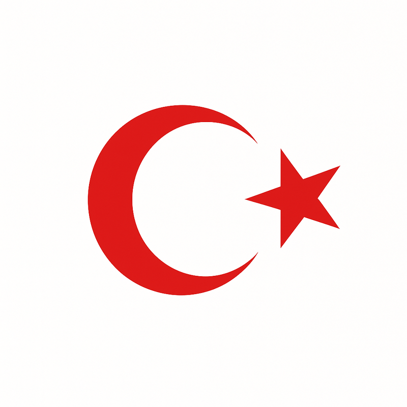 Türk Bayrağı Oto Sticker Kırmızı 23x17 cm
