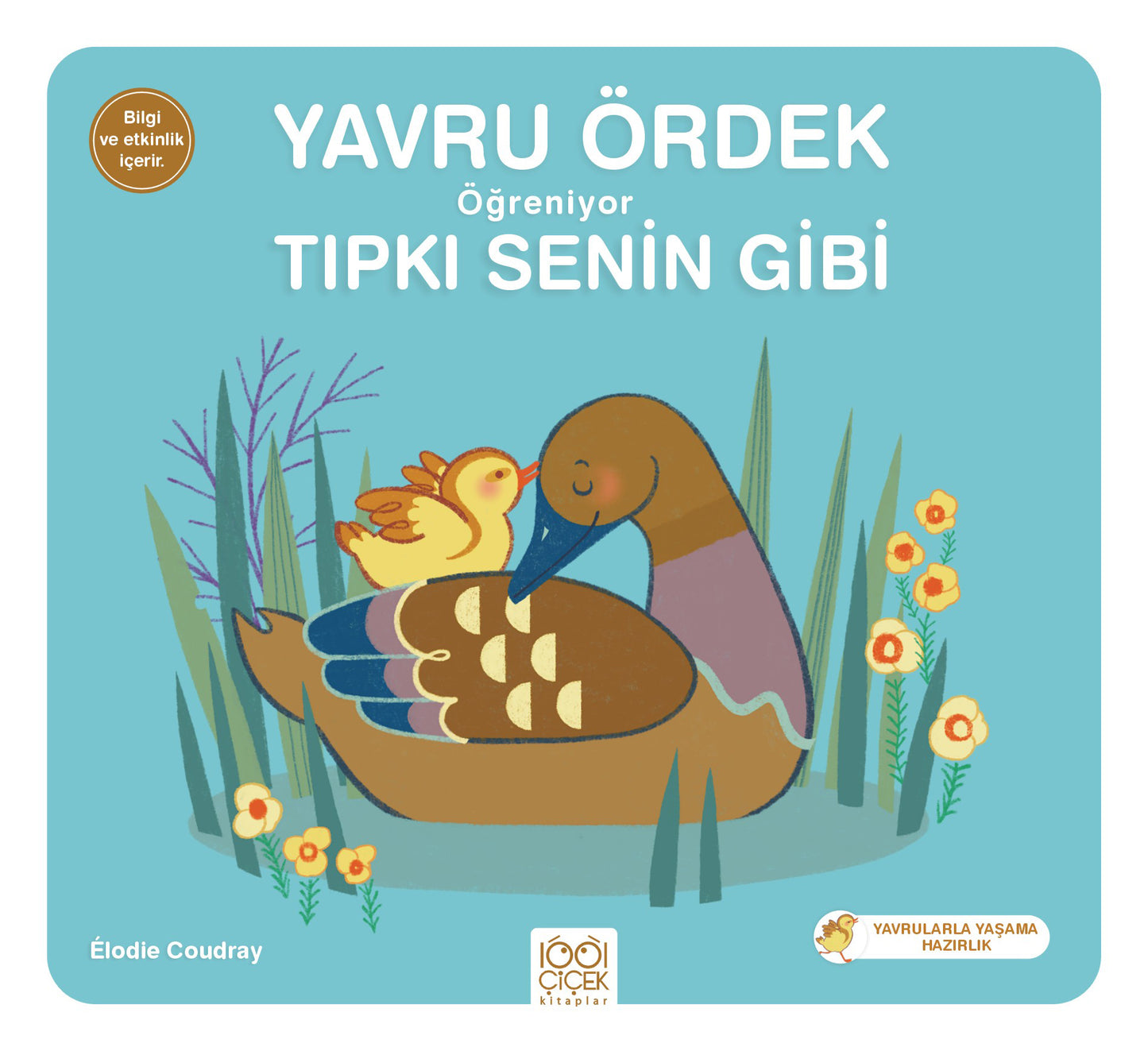 Yavru Ördek Öğreniyor Tıpkı Senin Gibi