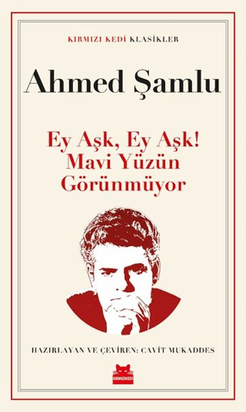 Ey Aşk, Ey Aşk! Mavi Yüzün Görünmüyor