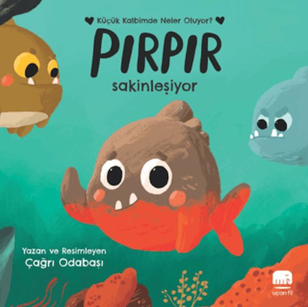 Pırpır Sakinleşiyor