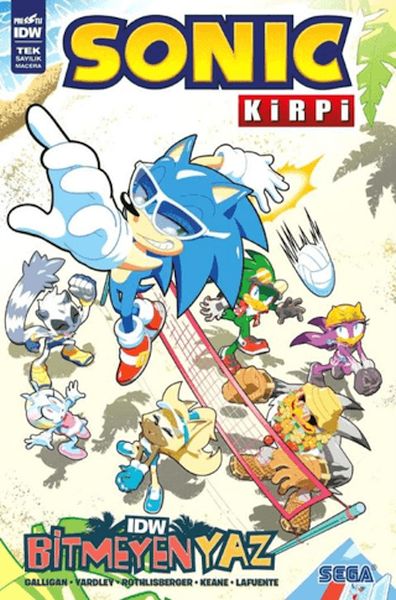 Kirpi Sonic Bitmeyen Yaz