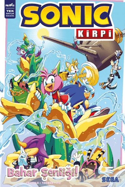 Kirpi Sonic Bahar Şenliği
