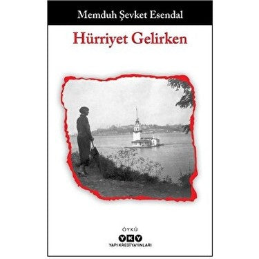 Memduh Şevket'in Hürriyet Gelirken, Tarihi Anlatım