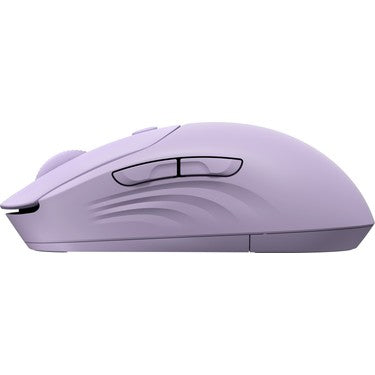 Hp AZ7B7AA 400 Quıet Purple Wıreless