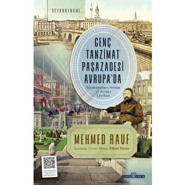 Mehmed'in Genç Tanzimat Dönemindeki Deneyimleri