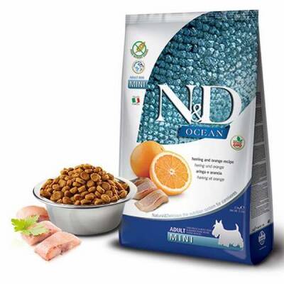 Ocean Ringa Balıklı Portakallı Tahılsız Yetişkin Köpek Maması 2,5 Kg
