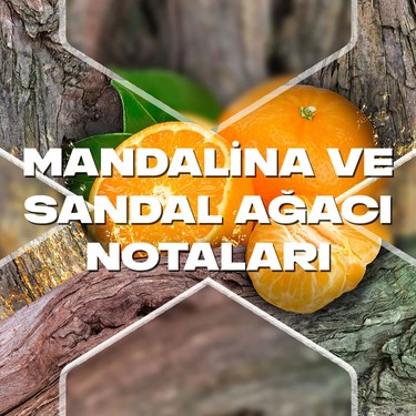 Erkek Deodorant 150 Ml Ferahlatıcı Africa Etkisi