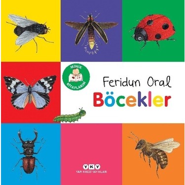 Böcekler Hakkında Eğlenceli Bilgi Kitabı Küçükler için