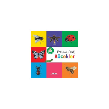 Böcekler Hakkında Eğlenceli Bilgi Kitabı Küçükler için