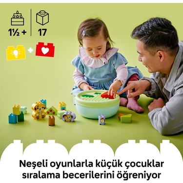 İlk Şekil Ayırıcı Köpek Evi, 1,5 Yaş ve Üzeri için Eğitici Oyuncak