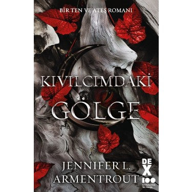 Bir Ten ve Ateş: Kıvılcımdaki Gölge - Roman, Sürükleyici Hikaye