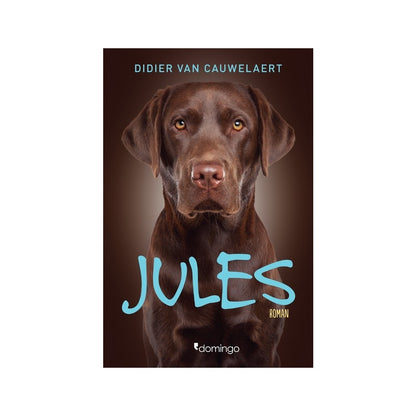 Jules: Keşfedilmemiş Hayatlar ve Anılar