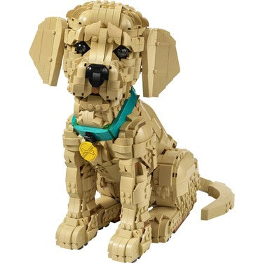 Yavru Golden Retriever Temalı Koleksiyonluk Yapım Seti