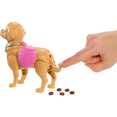 Barbie ile Evcil Hayvan Yürüyüş Seti, Eğlenceli Oyun Deneyimi