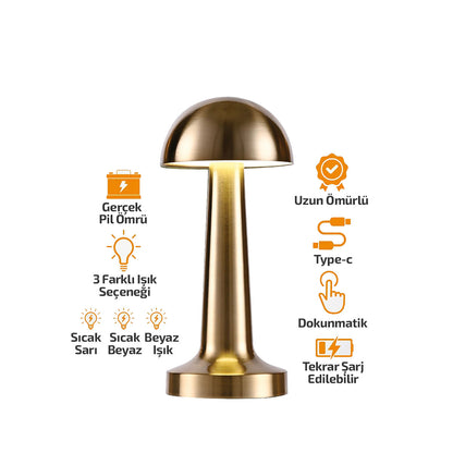 OVAL - METAL MANTAR MASA LAMBASI DOKUNMATİK - RENKLİ TYPE-C ŞARJLI 3 FONKSİYONLU YL86-1231 (5643)