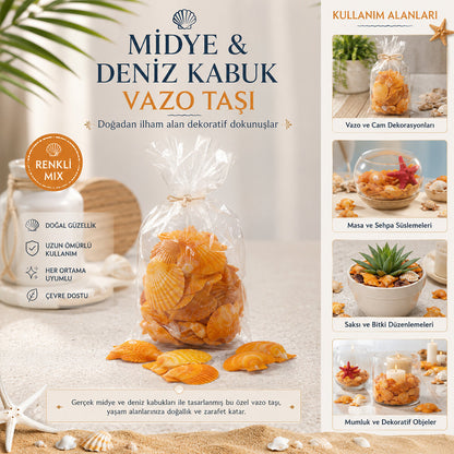 POŞETLİ RENKLİ MİX MİDYE - DENİZ KABUK VAZO TAŞI (5643)