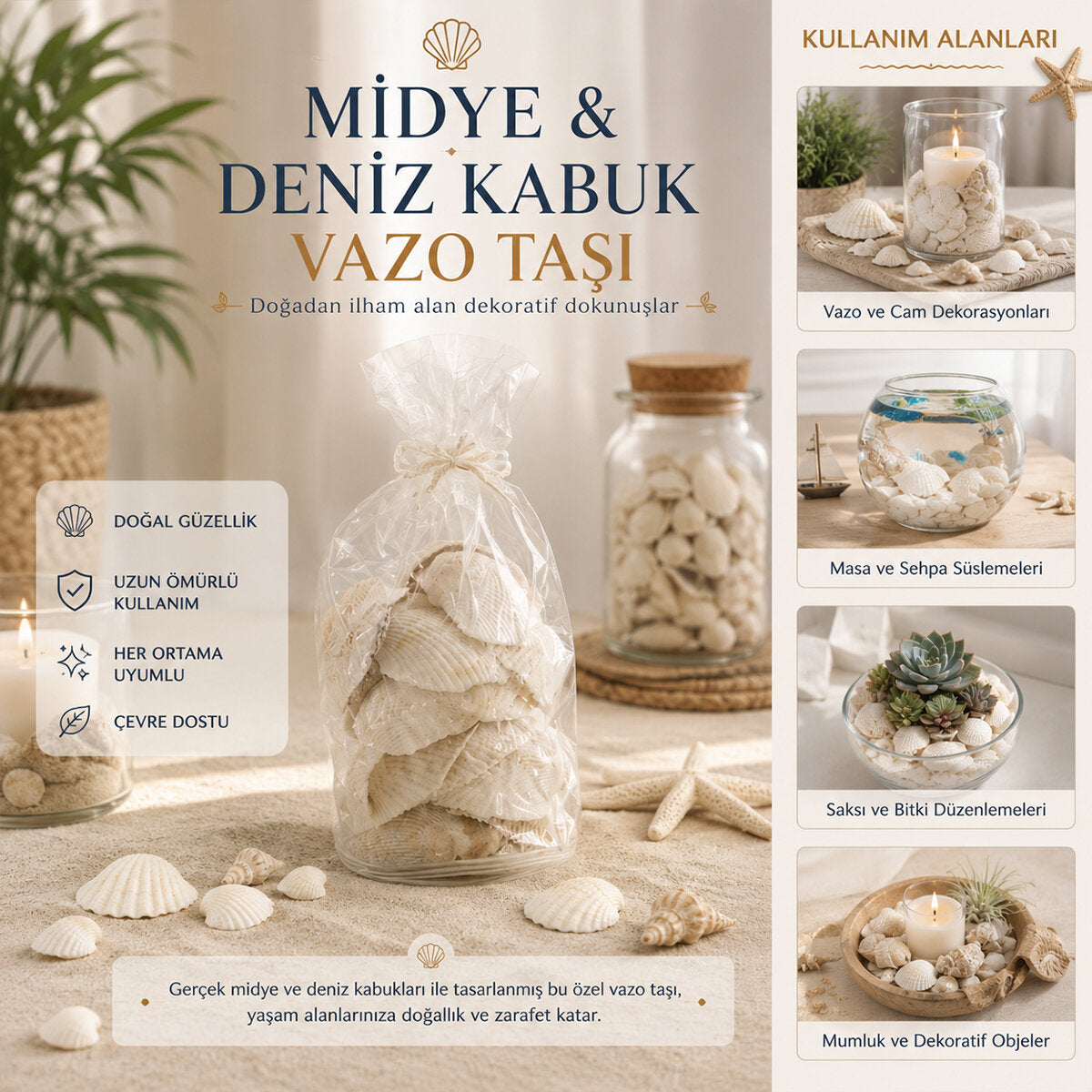POŞETLİ RENKLİ MİX MİDYE - DENİZ KABUK VAZO TAŞI (5643)