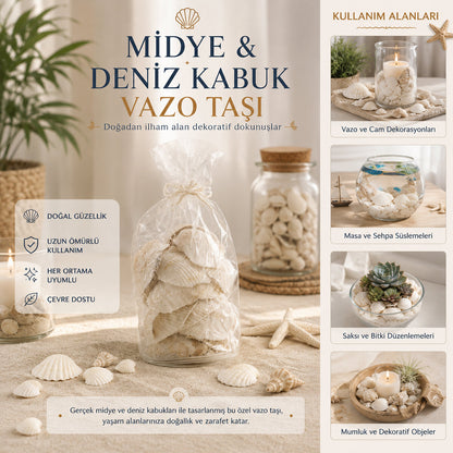 POŞETLİ RENKLİ MİX MİDYE - DENİZ KABUK VAZO TAŞI (5643)