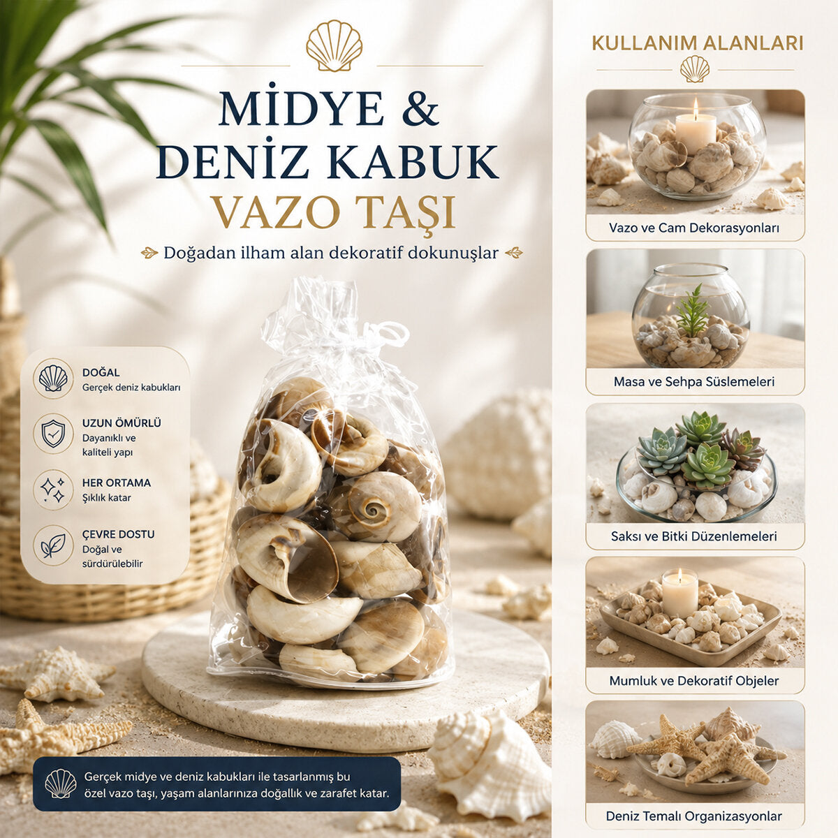 POŞETLİ RENKLİ MİX MİDYE - DENİZ KABUK VAZO TAŞI (5643)