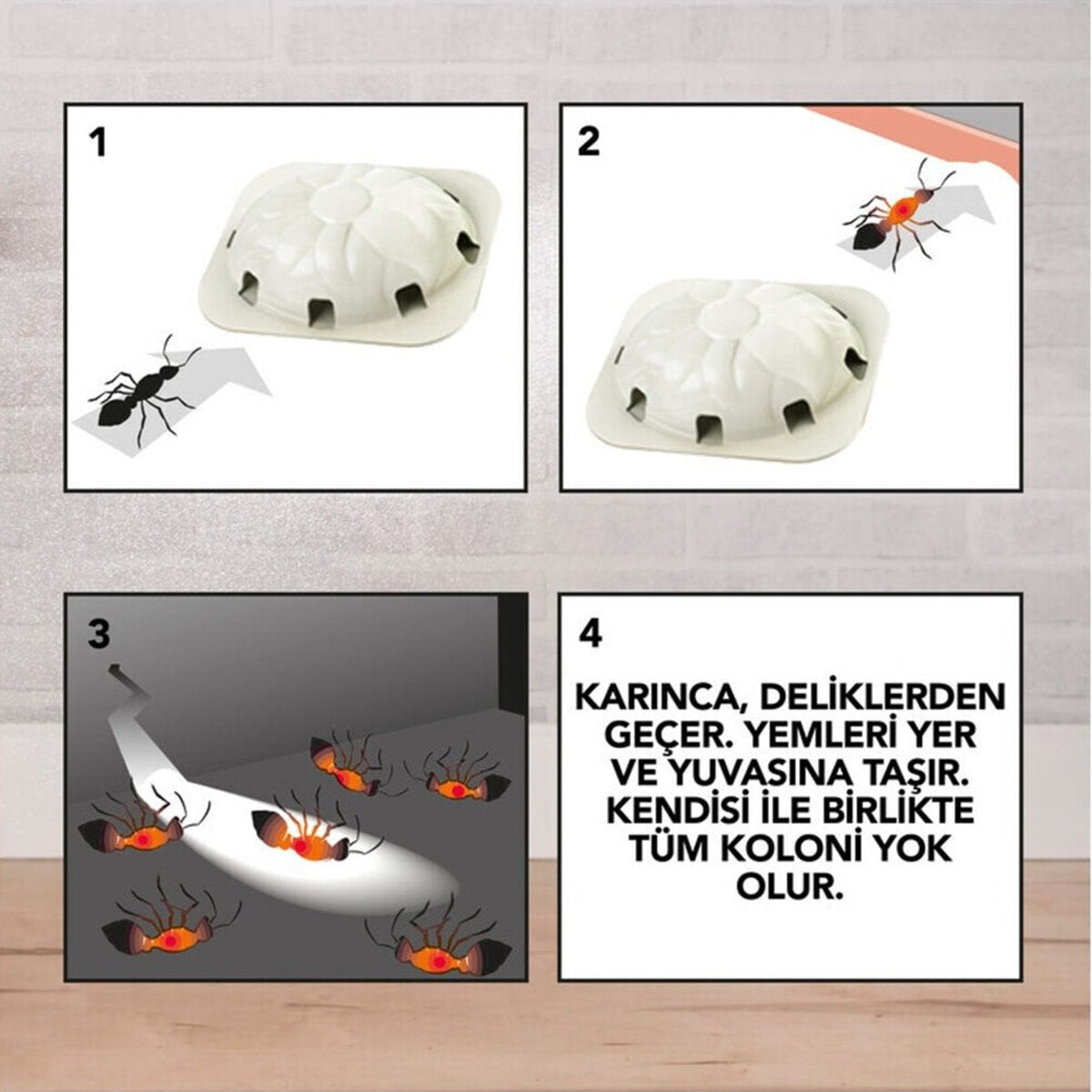 RAİD 2 PARÇA KARINCA YEMİ (5643)