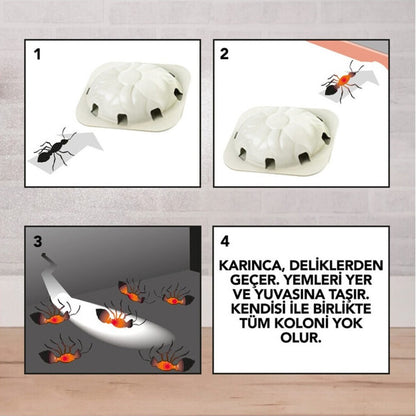 RAİD 2 PARÇA KARINCA YEMİ (5643)